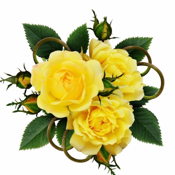 Meet your Posher Ambassador , Pat - Picture 1 of 1